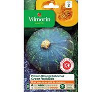 Vilmorin Sachet graines Potiron (courge Kabocha) Green Hokkaido