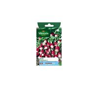 Vilmorin - Sachet graines Radis Flamboyant 5