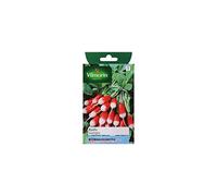 Vilmorin - Sachet graines Radis Lavergne