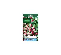 Vilmorin - Sachet graines Radis national 2