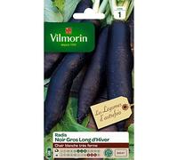 Graines - Vilmorin - Radis noir long d'hiver - Légumes d'Autrefois