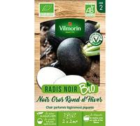 Vilmorin - sachet graines Radis Noir Gros Rond d'hiver BIO
