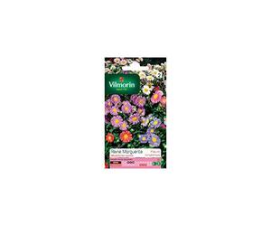 Vilmorin Sachet graines Reine Marguerite Madeleine variée