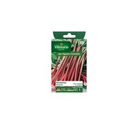 Vilmorin - Sachet graines Rhubarbe victoria