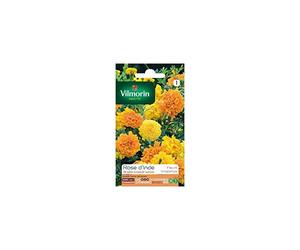 Vilmorin - Sachet graines Rose d'inde double grande variée