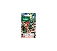Vilmorin - Sachet graines Rose Trémière Pastorale