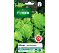 Vilmorin - Sachet graines Shiso Vert (persil japonais)