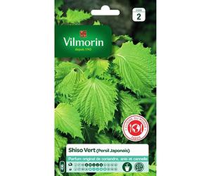 Vilmorin - Sachet graines Shiso Vert (persil japonais)