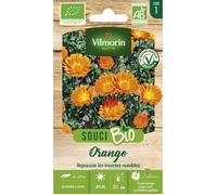 Vilmorin Sachet graines Souci Orange Bio - Calendula officinalis