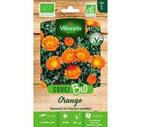 Vilmorin Sachet graines Souci Orange Bio - Calendula officinalis