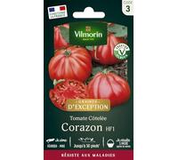 Vilmorin Graines de tomate Cœur de bœuf Corazon HF1 Rouge 9 x 0,5 x 16 cm