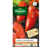 Vilmorin - Sachet graines Tomate cornue des Andes