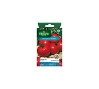 Vilmorin - Sachet graines Tomate Dona HF1