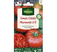 Vilmorin Sachet de graines Tomate Marmande