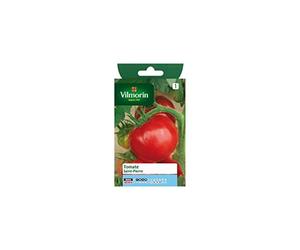 Vilmorin - Sachet graines Tomate Saint Pierre