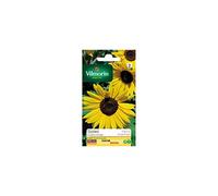 Vilmorin - Sachet graines Tournesol Soleil Golden Hedge