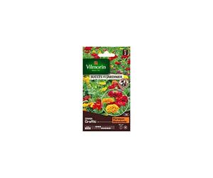 Vilmorin - Sachet graines Zinnia Graffiti