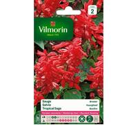 Vilmorin - Sachet graines Sauge Rouge Brasier
