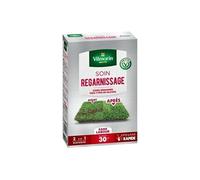 vilmorin semences pour soins et regarnissage universel de gazon - 2 en 1 - 500 g