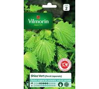 Vilmorin – Plante annuelle – Shiso vert – Facile à réussir, feuilles graphiques décoratives