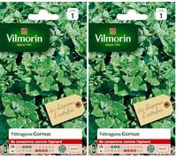 Vilmorin - Tétragone cornue- Légume d'autrefois - Se Consomme comme Un épinard - résistante à la Chaleur et la sécheresse - idéal pour Les régions Chaudes - Croissance Rapide - rendement 2 x 2m