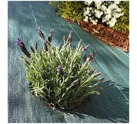 Vilmorin - Toile de paillage tissée 90 g/m² 1.05m x 20m