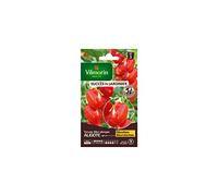 Vilmorin - Tomate Aligote HF1