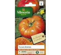 VILMORIN Tomate Ananas Vilmorin série 2 légumes d'autrefois