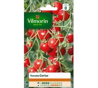 Vilmorin Graines Tomate cerise Rouge – Sachet – Semis février à mai