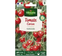 VILMORIN Tomate cerise Sachet de graines