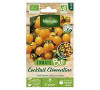 Vilmorin Tomate Clementine bio