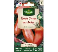 Vilmorin Tomate Cornue des Andes
