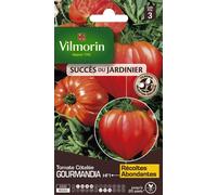 VILMORIN-Tomate Côtelée Gourmandia HF1 Vilmorin - graines à semer