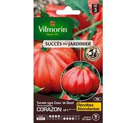 Vilmorin Graines de tomate Cœur de bœuf Corazon HF1 Rouge 9 x 0,5 x 16 cm