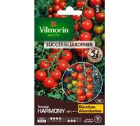 Vilmorin - Tomate Harmony - variété précoce - vigoureuse - rendement jusqu'à 2 à 4 kg par Pied- Type Cocktail - Chair juteuse et savoureuse - résistante aux Maladies - Idéale pour l'apéro