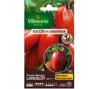 VILMORIN Tomate Lancelot HF1 Sachet de graines - Obtention Vilmorin