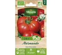 Vilmorin-3960142-TOMATE MARMANDE VR BIO VL 2
