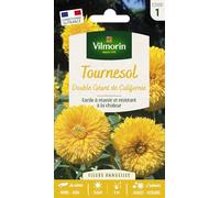 VILMORIN Tournesol double géant de Californie Vilmorin série 1