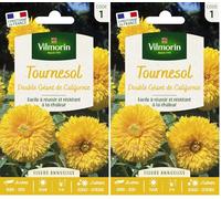 VILMORIN Tournesol double géant de Californie Vilmorin série 1 (Lot de 2)