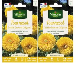 VILMORIN Tournesol double géant de Californie Vilmorin série 1 (Lot de 2)