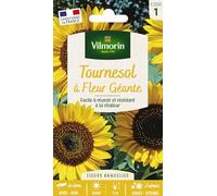 Graines de tournesol, à fleurs géantes, fleurs jaunes, Vilmorin