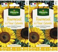 VILMORIN Tournesol fleur géante Vilmorin série 1, Jaune/Marron (Lot de 2)
