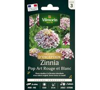 Vilmorin Zinnia Pop Art Rouge et Blanc