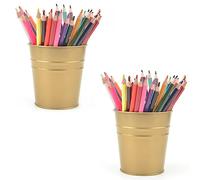VILSECKY Lot de 2 pots à crayons en métal pour bureau, maison, pot de fleurs en fer blanc, pot de fleurs succulentes, pot de fleurs pour bureau, maison (doré)