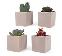 Vimin Box Lot de 4 pots carrés en céramique pour intérieur, gris tourterelle, pour plantes succulentes, fleurs, bonsaï, cactus, décoration maison, bureau, table, bureau (XS tourterelle)