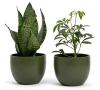 Vimin Box Paire de pots élégants en terre cuite | Vert foncé | pour intérieur ou extérieur | D.12,5 cm - H.10 cm | Vase décoratif moderne pour plantes, fleurs et plantes succulentes.