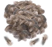 Vimmvid Lot de 200 plumes de pintade pour le bricolage, la décoration d'œufs de caille, 2 tailles différentes, plumes artisanales et plumes marron, plumes de bricolage peuvent être utilisées pour la