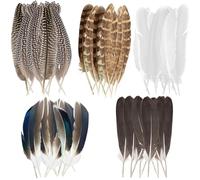 Vimmvid Lot de 50 plumes de pintade pour bricolage, décoration, plumes de faisan, grandes plumes mélangées, pour bricolage, Pâques, attrape-rêves, masque, chapeaux, fête de mariage