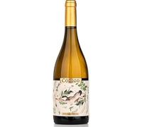 Vin blanc Código Infusão Subtil Dão DOC 2023 barrique parfumée avec infusion 75 cl sur lies avec malolactique naturelle malgré une acidité élevée et un pH faible
