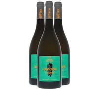 Vin de Savoie Chardonnay La Caspienne - Blanc 2024 - Philippe et Sylvain Ravier - Vin Blanc de Savoie - Bugey (3x75cl)